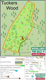 Image of property