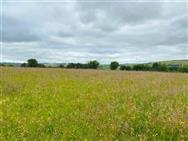 Image of property