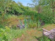 Image of property