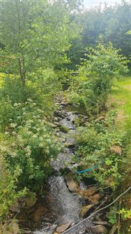 Image of property