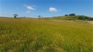 Image of property