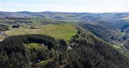 Image of property