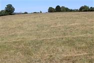 Image of property