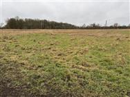 Click to view more details