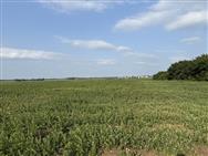 Image of property