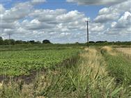Image of property