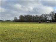 Click to view more details