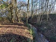 Image of property