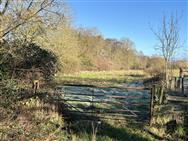 Image of property
