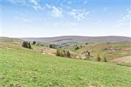 Image of property