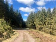 Image of property