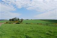 Image of property