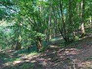 Image of property