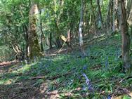 Image of property