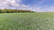 Image of property