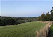 Click to view more details