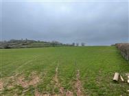 Image of property