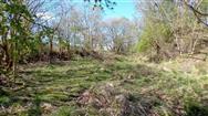 Image of property